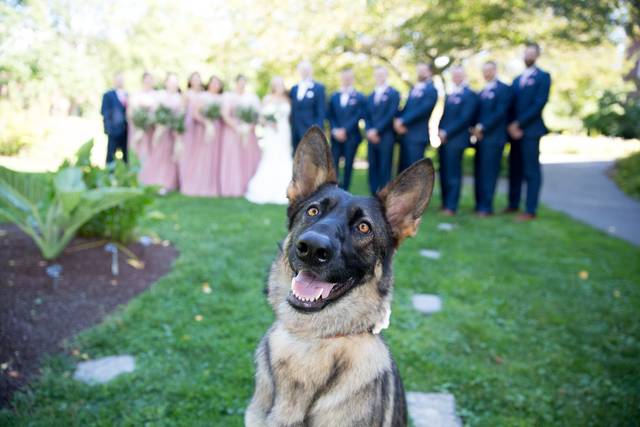 Wedding couple