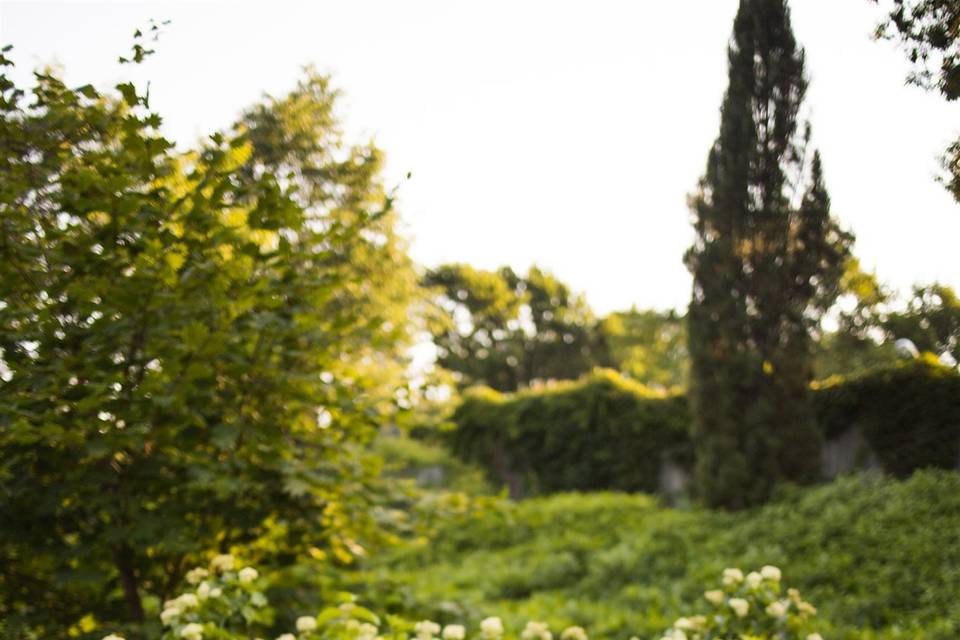 Small Boston elopement