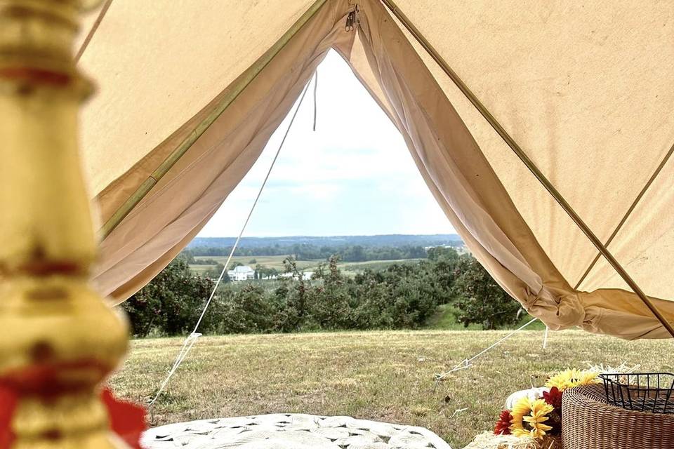 Views from the Bell Tent