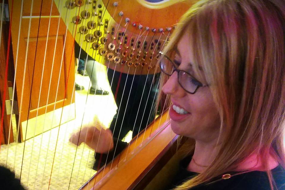 The Harp Goddess /Tara Alterman