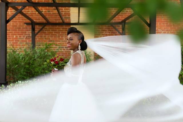 Veil in the wind