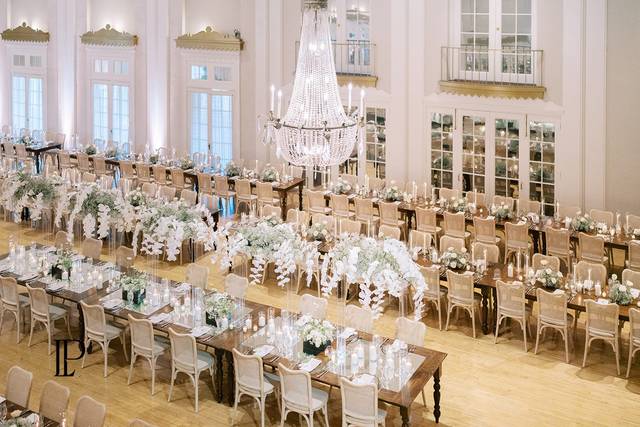 Lafayette, Whites & Neutrals
