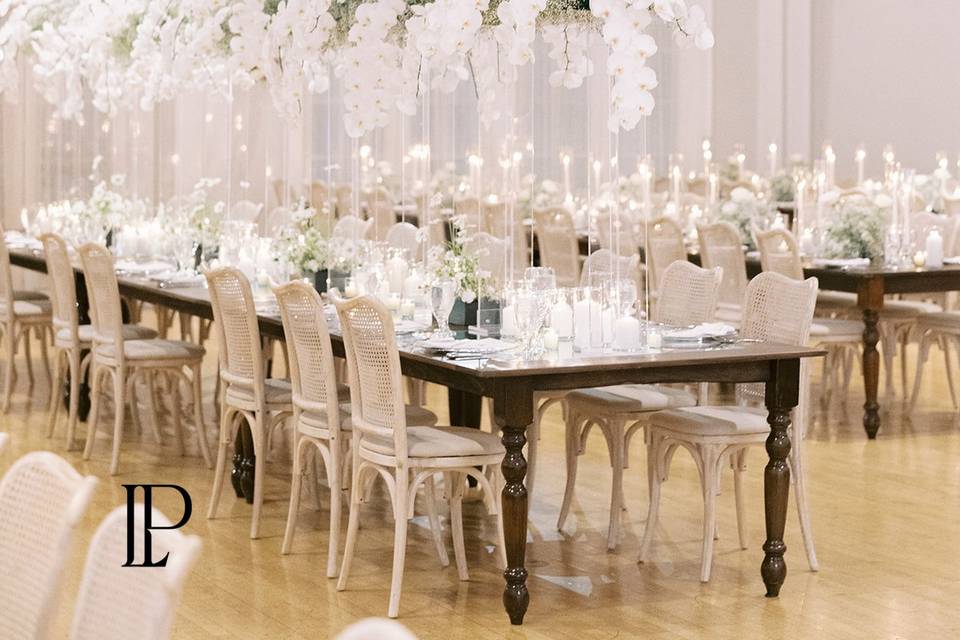 Orchids & Orchids!