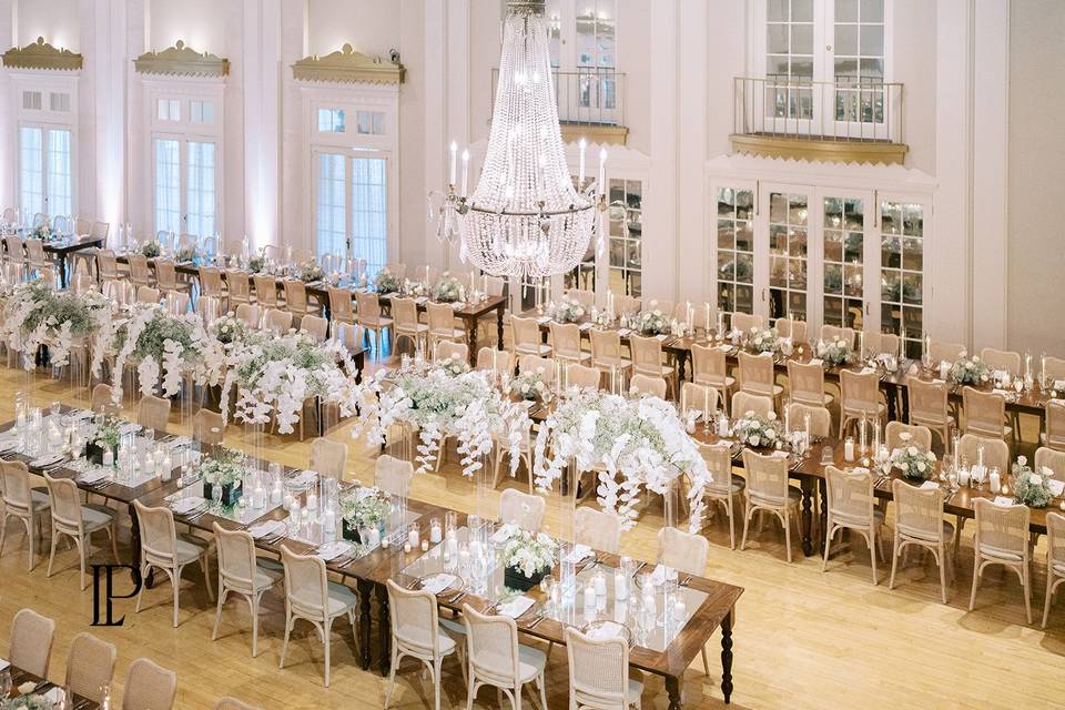 Lafayette, Whites & Neutrals