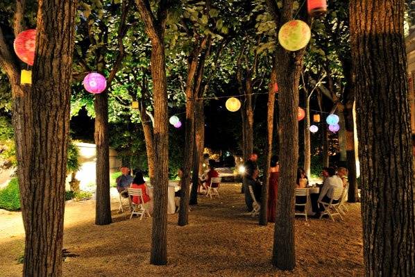 A grove of 80-year-old spanish linden trees provides a unique setting for cocktail receptions and ceremonies.  (Photo by Egomedia Photography)