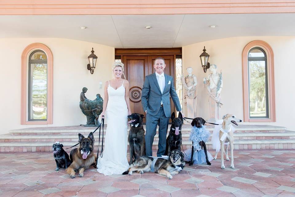 Animal friendly wedding