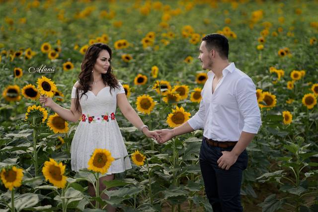 Sun flower field in GA
