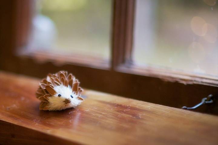 Heather Graviss Photography