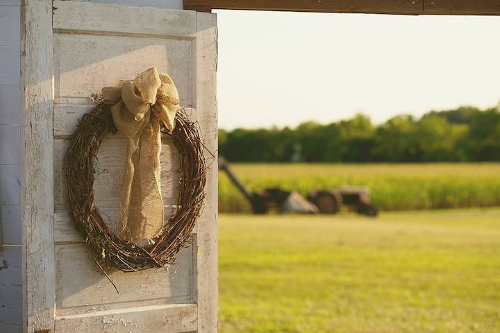 Heather Graviss Photography
