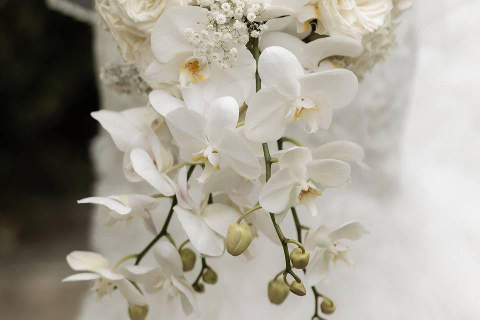 Akal Elegance Events