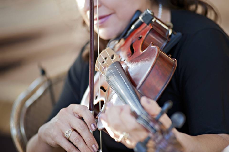 The Celtic harp & viola at a wedding at Rancho Mirando. A  venue in Wimberley, TX with breathtaking views.