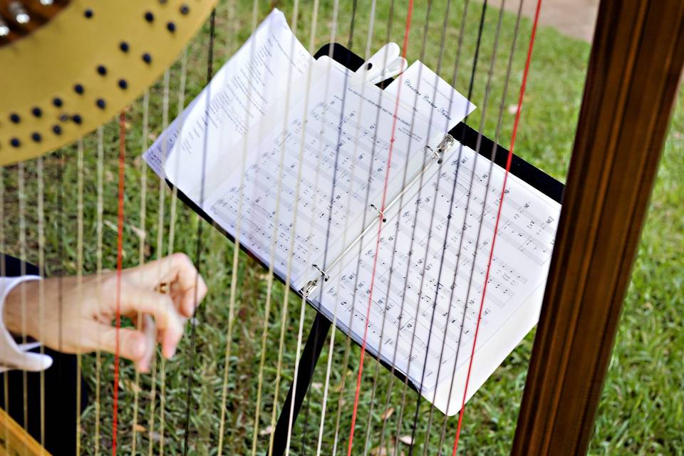 Strings of the concert harp (larger harp) carries well outdoors and along with the viola is a full and elegant sound presentation