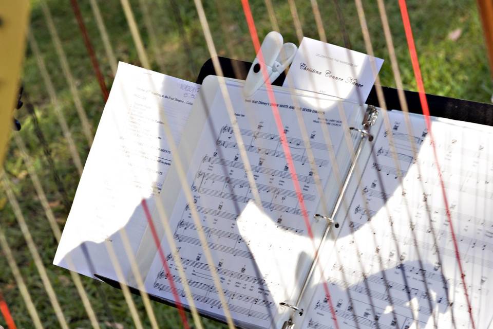 Strings of the concert harp (larger harp) carries well outdoors and along with the viola is a full and elegant sound presentation