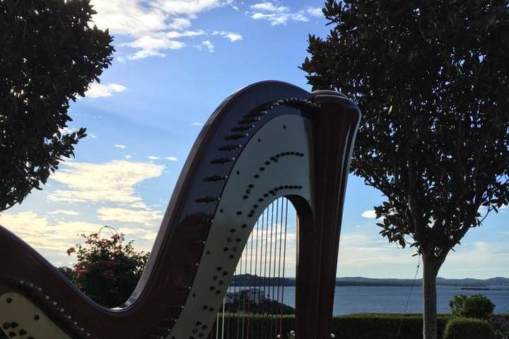 Angelic Strings with Harpist Michael Morris