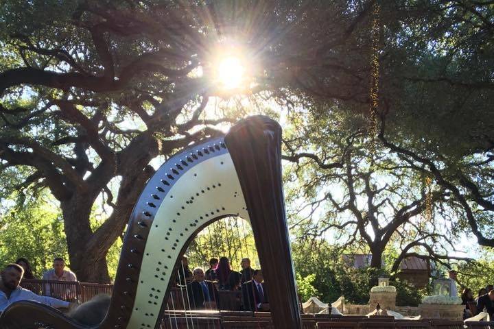 Angelic Strings with Harpist Michael Morris