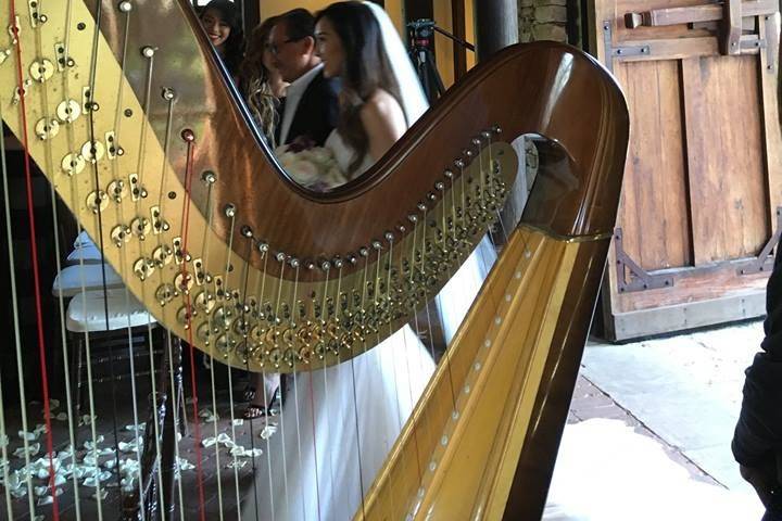 Angelic Strings with Harpist Michael Morris