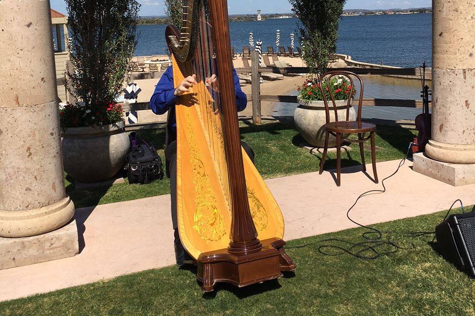 Angelic Strings with Harpist Michael Morris