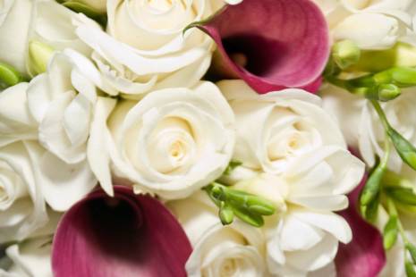 Elegant Calla Lily Bouquet