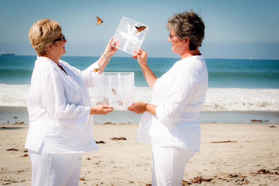 LGBTQ Butterfly Release