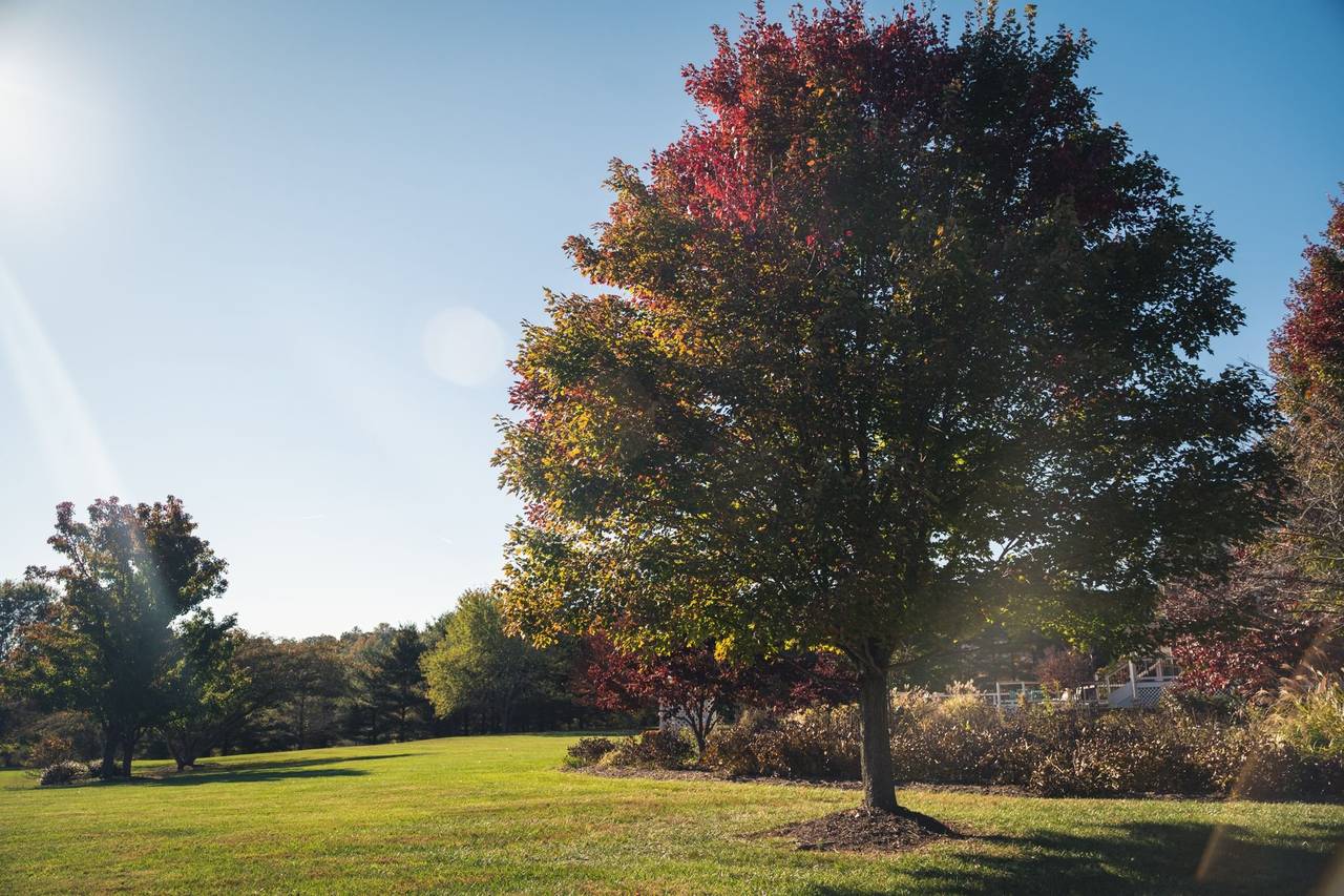Morningside Inn - Venue - Frederick, MD - WeddingWire