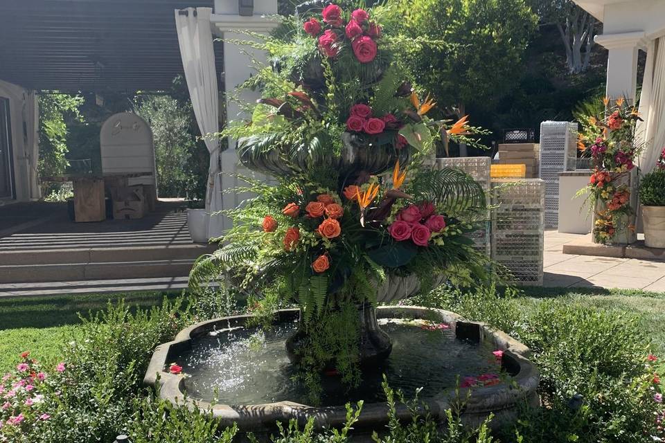 Tropical fountain