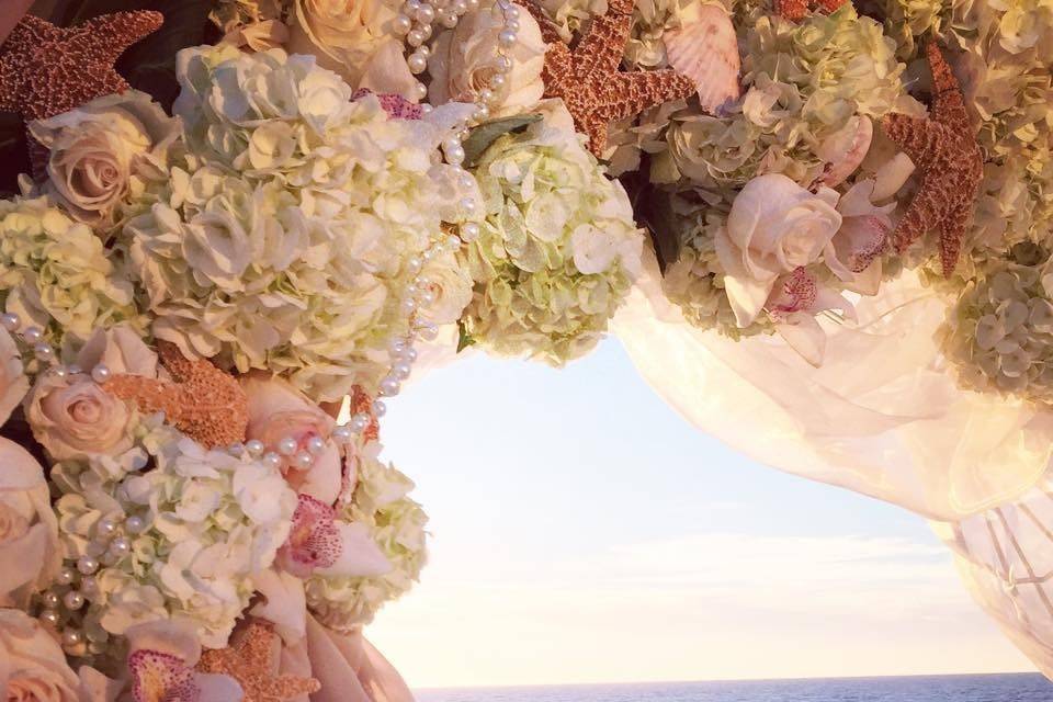 Soft and Delicate Beach Wedding Arch