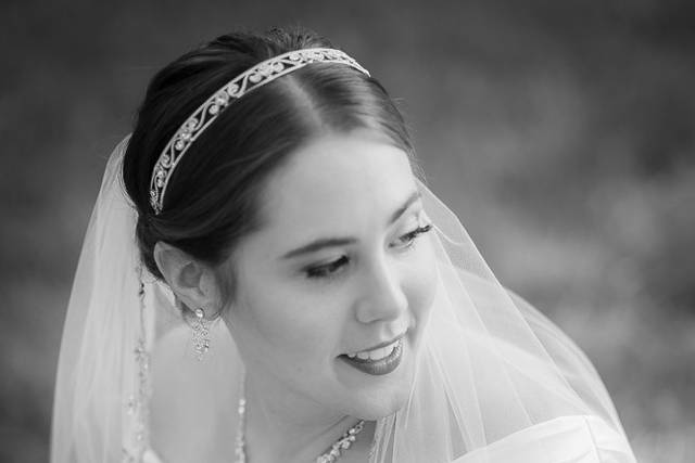Dave Thompson Photography