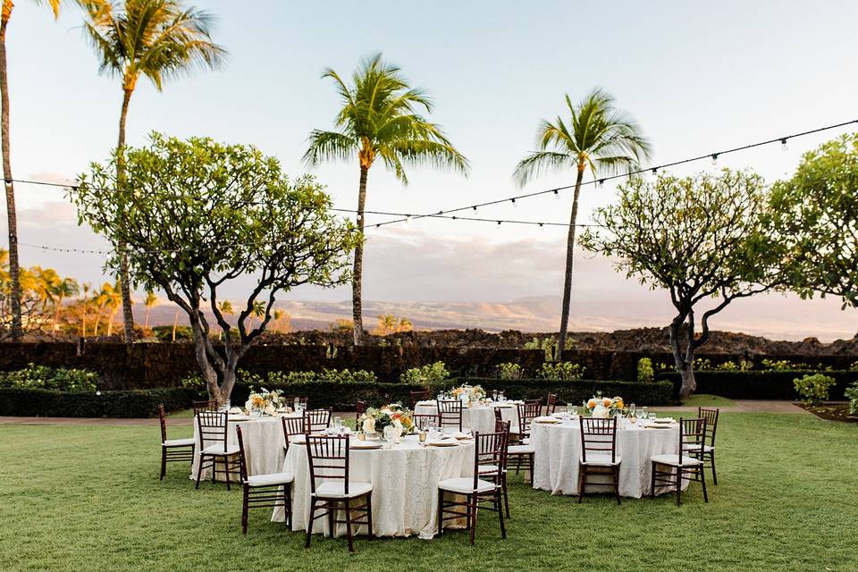 Mountain Views at Naupaka Lawn