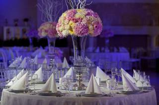 Ilana Rubin Events