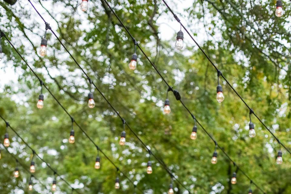 Bride & Groom String Lights