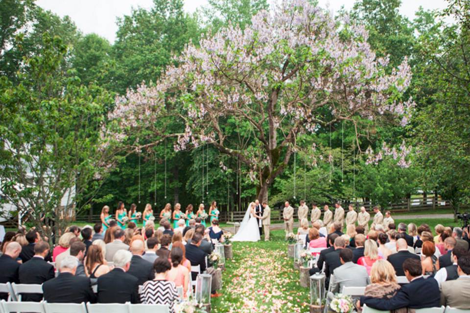 Ceremony under tree