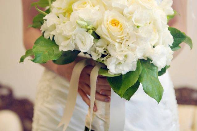 Classic cream and white