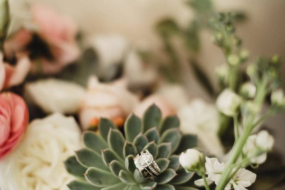 Succulent details