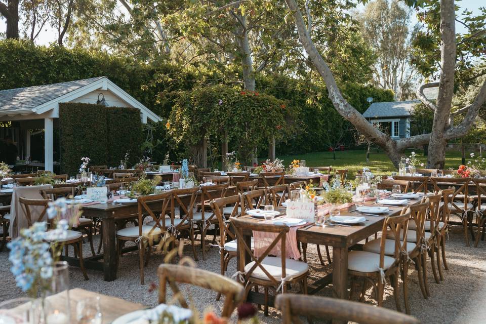 Dinner Set Up