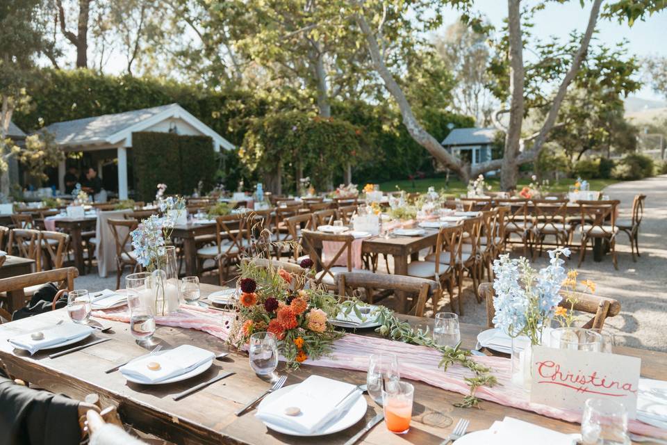 Dinnner Setting