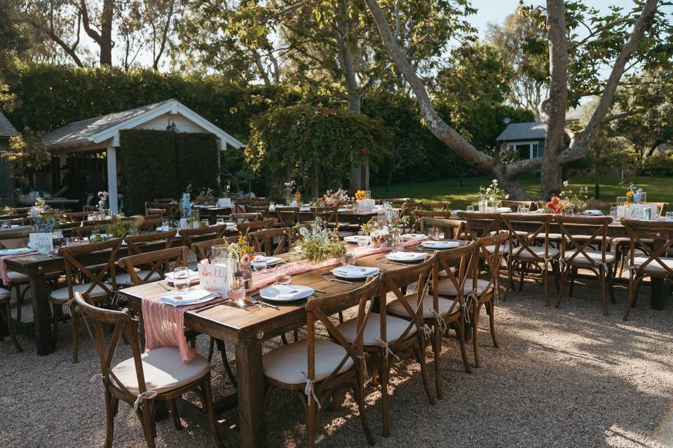 Dinner Set Up
