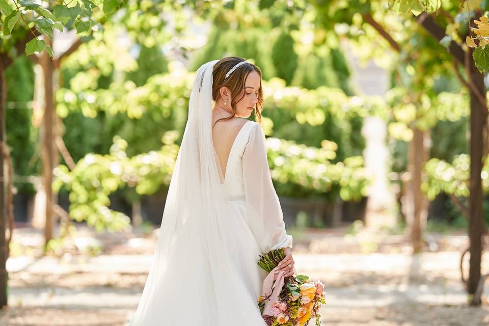 Vineyard Bride