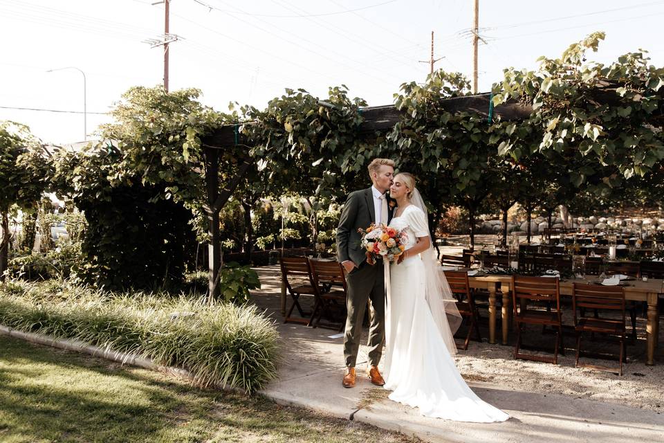 Vineyard Bride + Groom