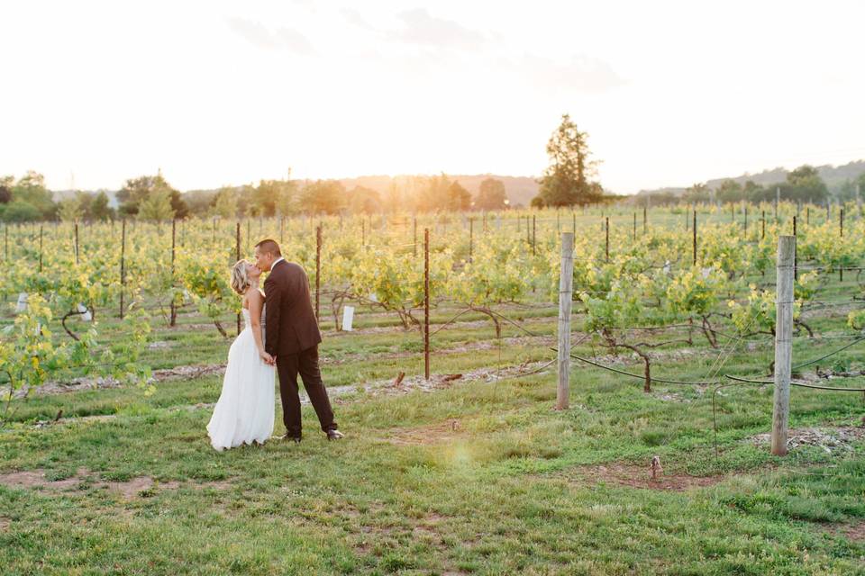 Modern Vineyard Wedding Under the Stars