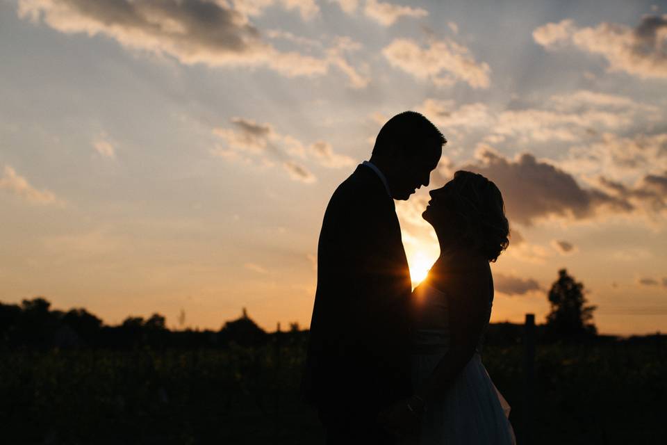 Modern Vineyard Wedding Under the Stars