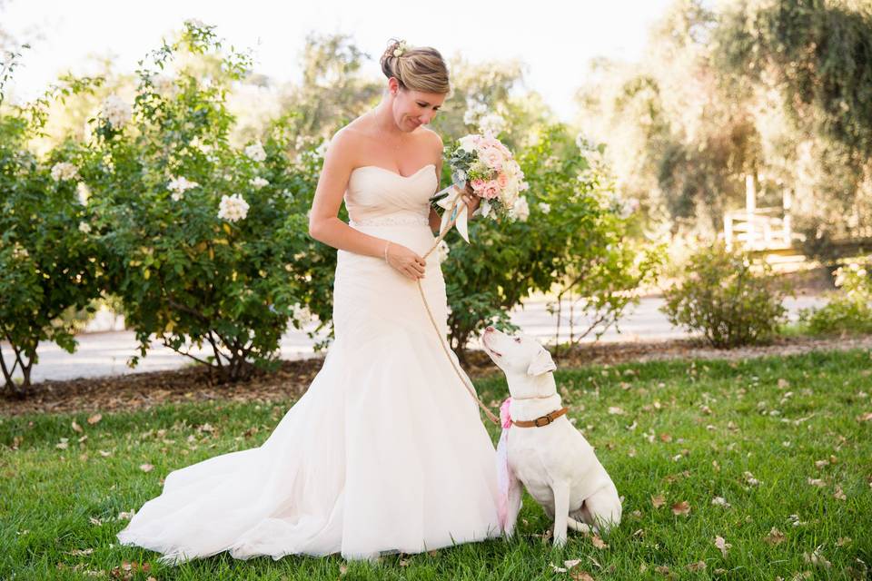 Veils & Tails Photography