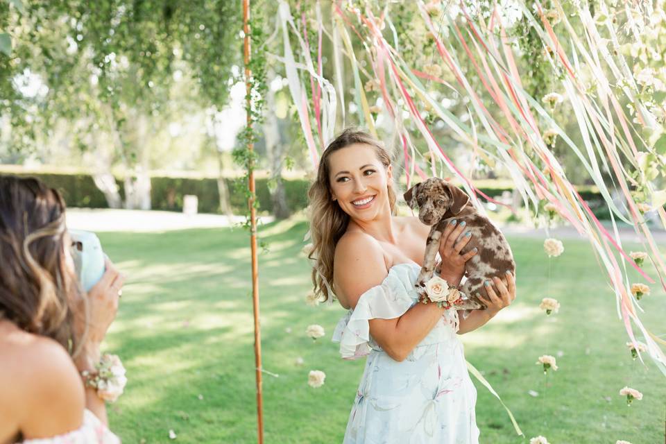 Bridesmaid with a puppy