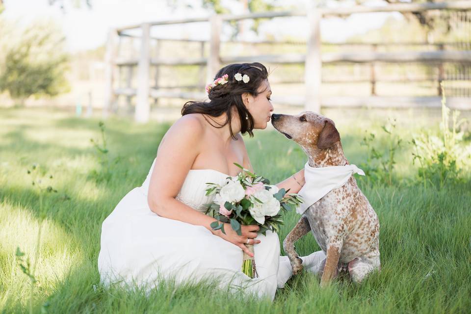 Veils & Tails Photography