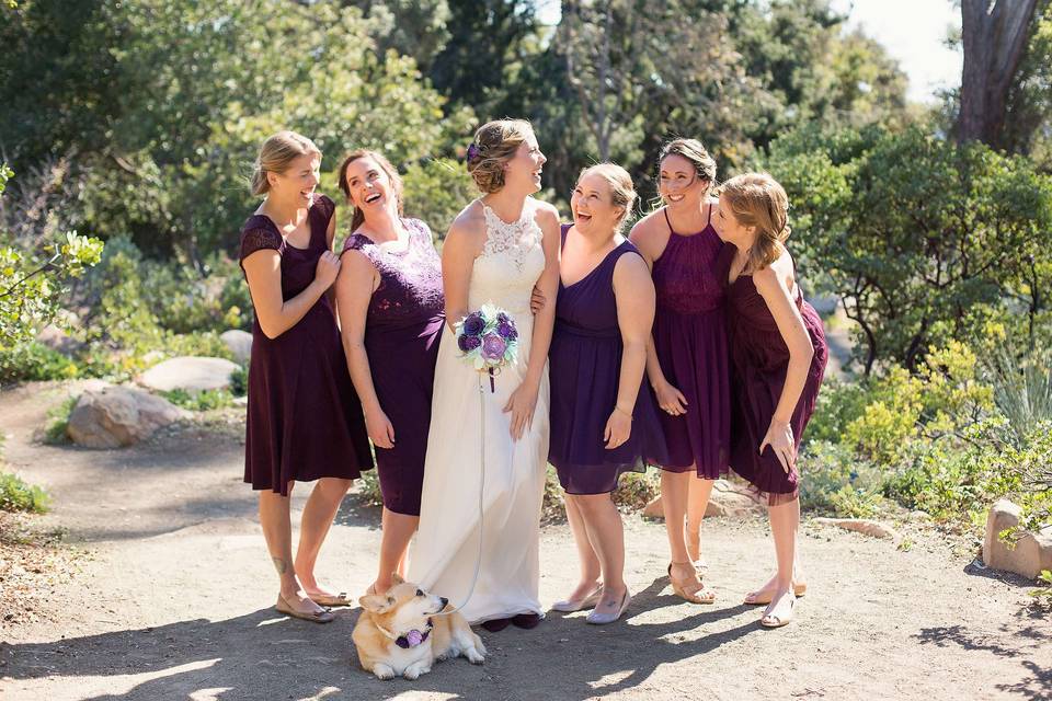 Veils & Tails Photography