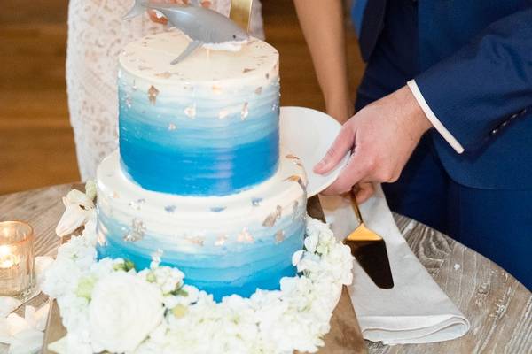 Shark Cake Cutting