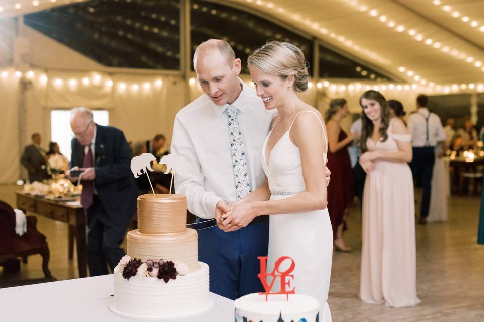 Gold Ombre with Grooms Cake