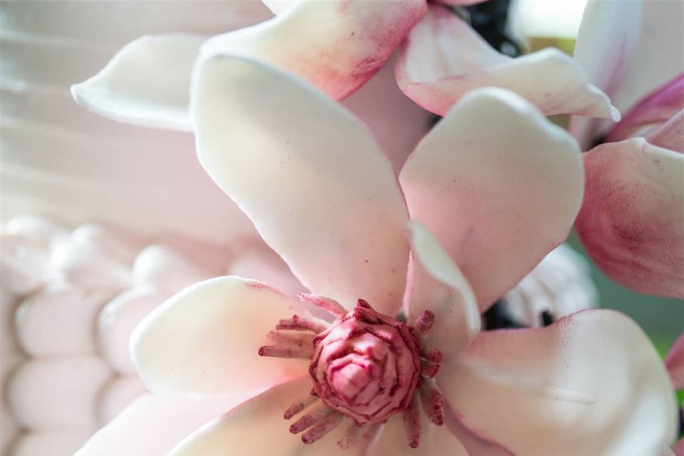 Pink Magnolias Detail