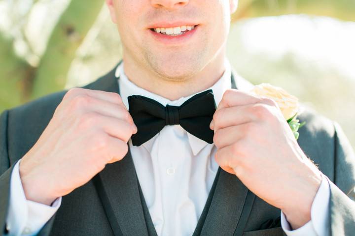 Bowtie closeup - Rachael Koscica Photography