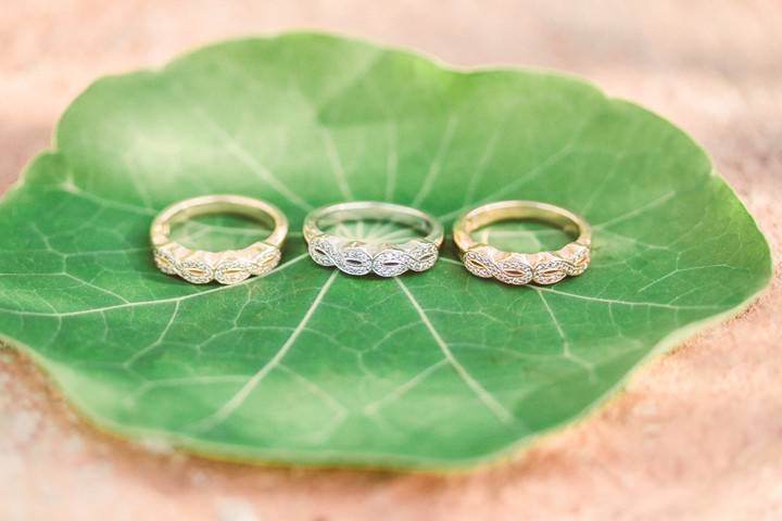 The wedding rings - Rachael Koscica Photography