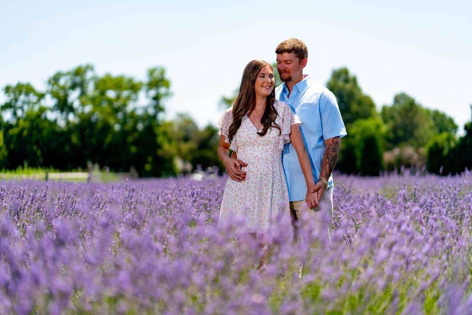 Lavender Field